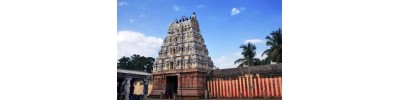 திருக்கோவிலூர் - அந்தக்கசுர சுதானம்